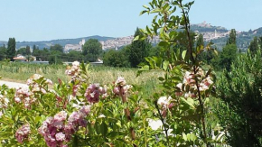 Casa Nonna Jole Assisi